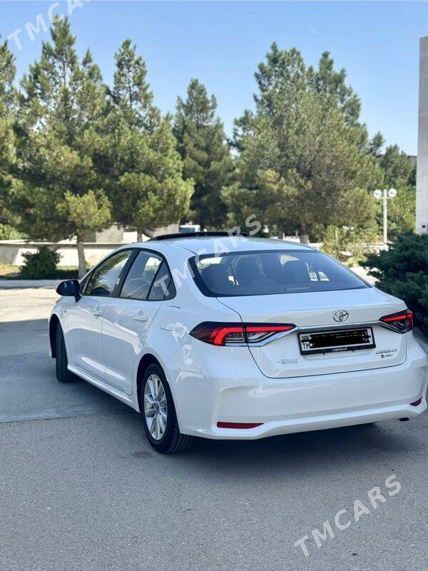 Toyota Corolla 2025 - 410 000 TMT - Balkanabat - img 3