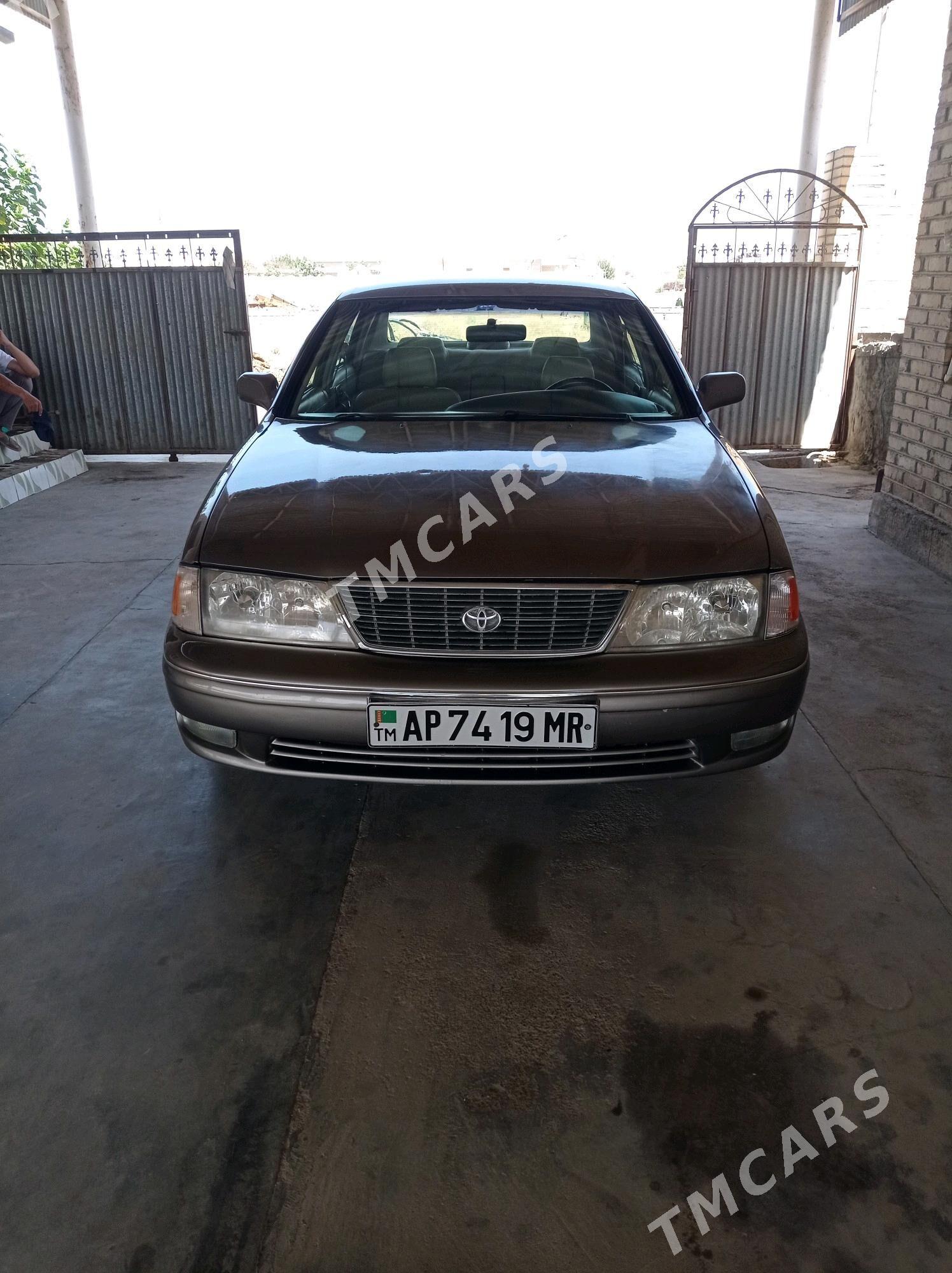 Toyota Avalon 1999 - 130 000 TMT - Sakarçäge - img 6