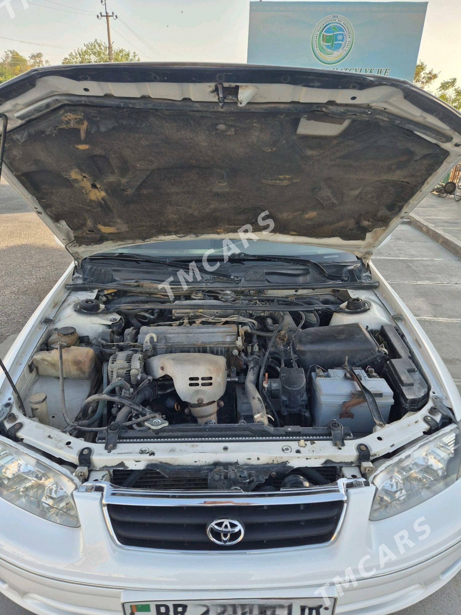Toyota Camry 1999 - 120 000 TMT - Серхетабат (Кушка) - img 9