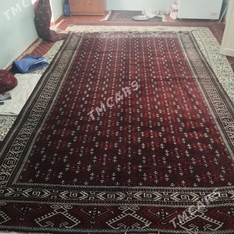 HALYLAR - Balkanabat - img 2