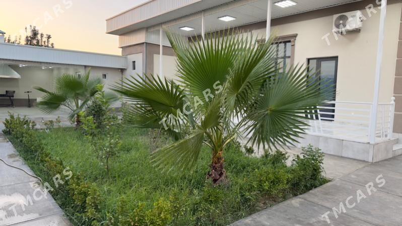 Çogonly plan jaý -Чогонлы - Aşgabat - img 2