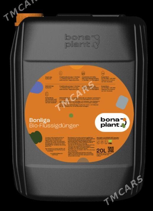 Dökün suwuk Bona Plant - Ашхабад - img 2