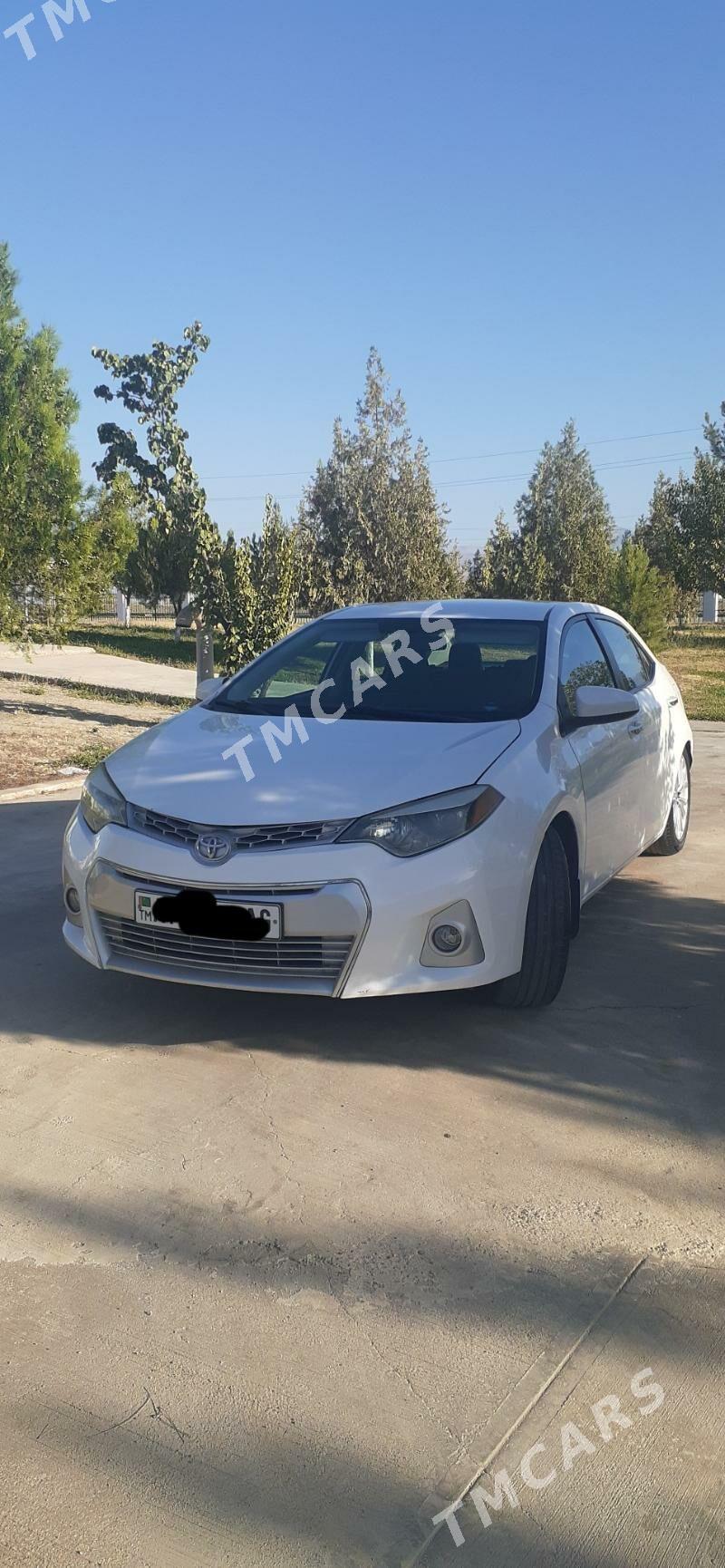 Toyota Corolla 2014 - 173 000 TMT - Büzmeýin - img 2