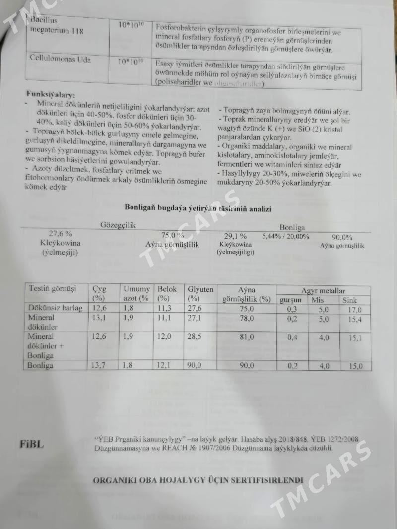 Dökün suwuk Bona Plant - Ашхабад - img 5