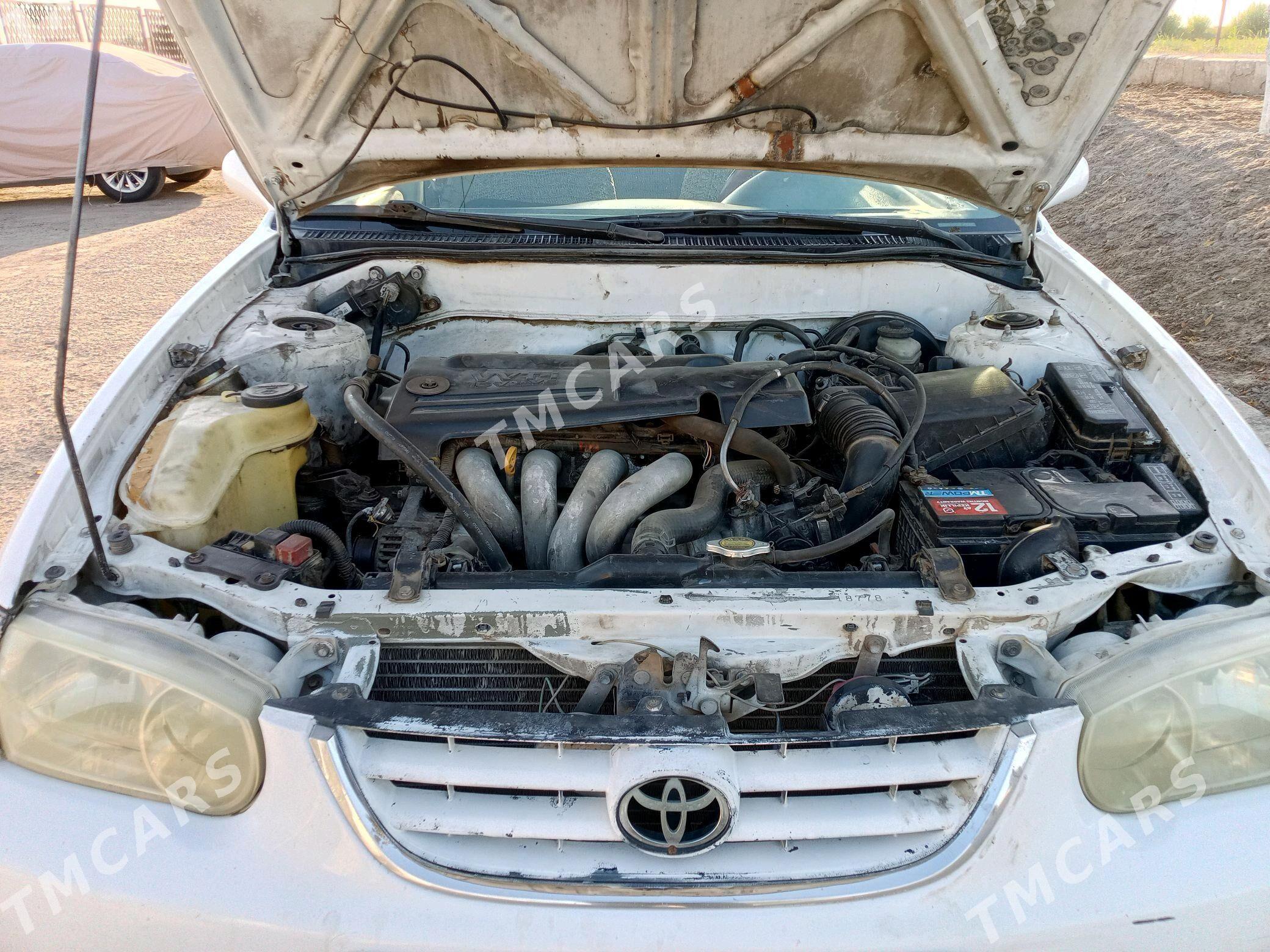 Toyota Corolla 2001 - 80 000 TMT - Дашогуз - img 5