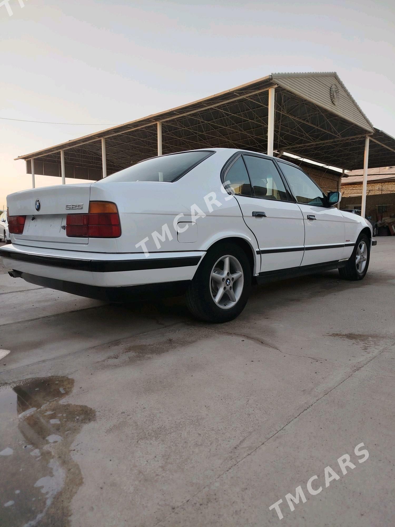 BMW 525 1991 - 60 000 TMT - Mary - img 3