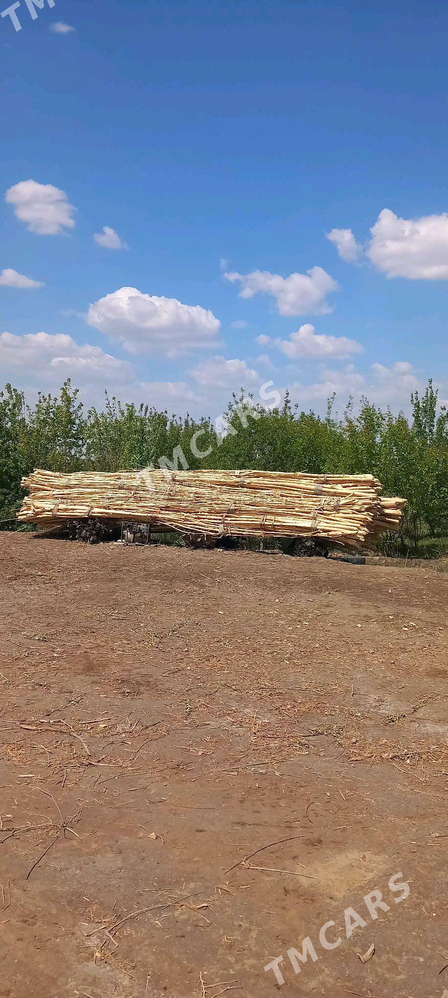 Hada - Кёнеургенч - img 2