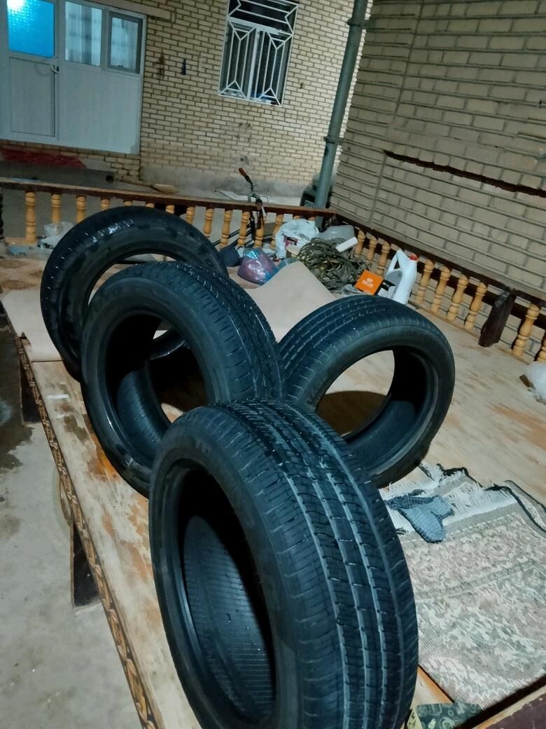 teker 8 TMT - Wekilbazar - img 2