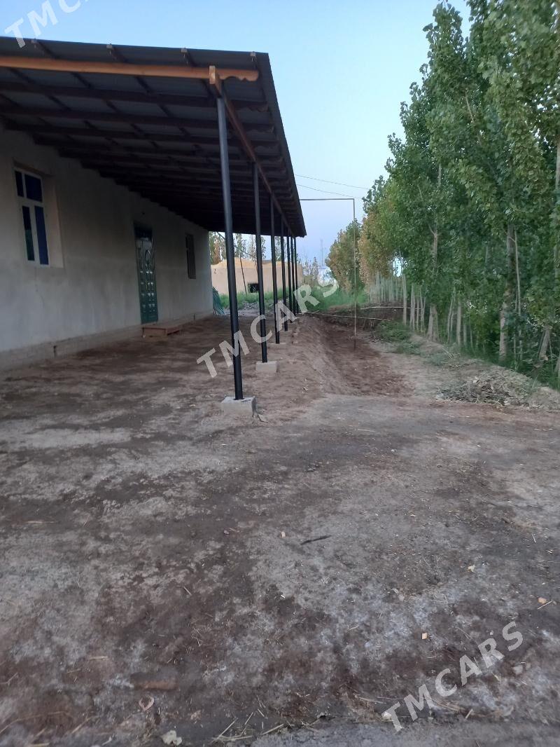 hojalik jay - Дашогуз - img 10