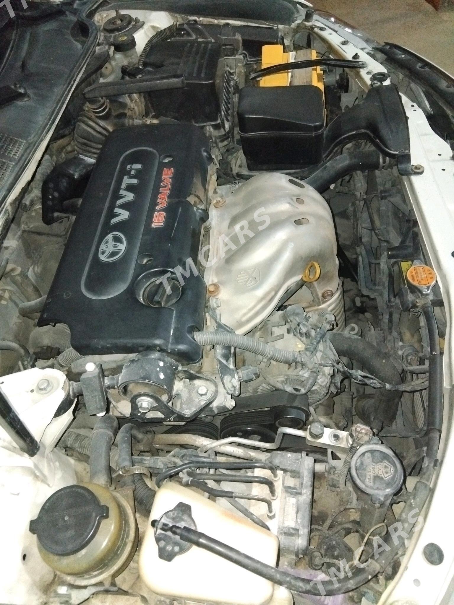 Toyota Camry 2009 - 135 000 TMT - Gökdepe - img 5