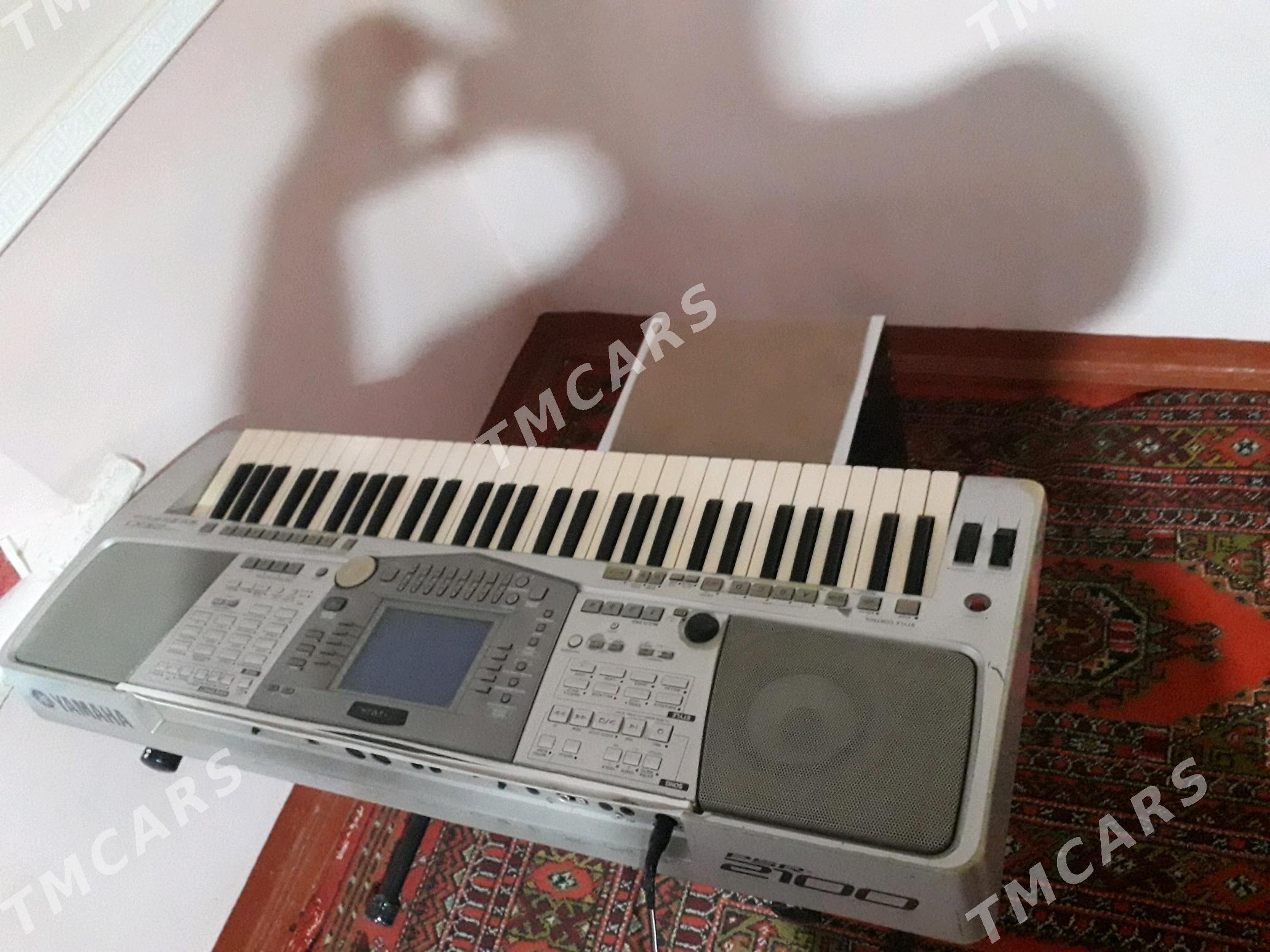 yamaha 2100 - Mary - img 3