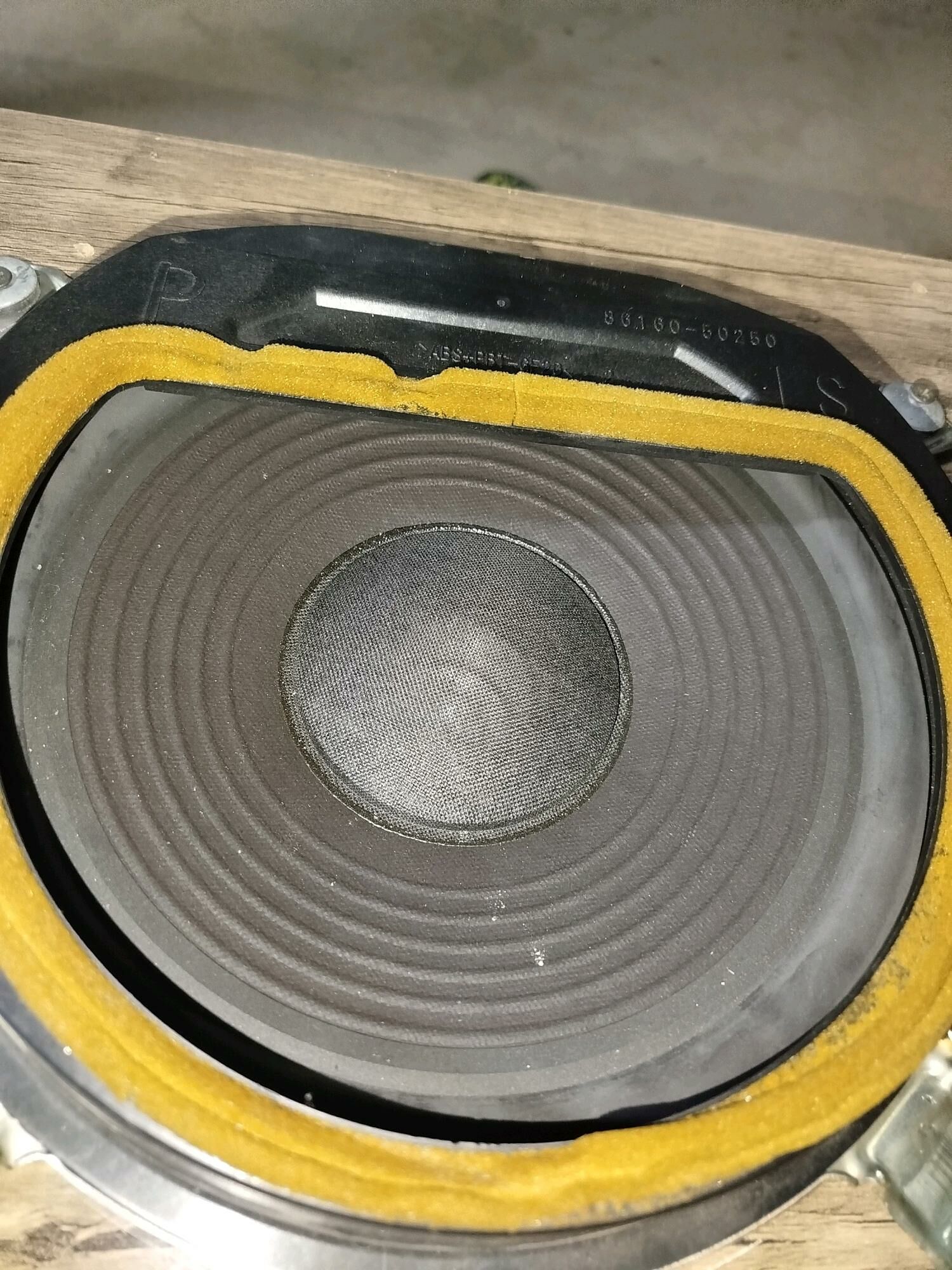 kalonka bass 450 TMT - Daşoguz - img 1