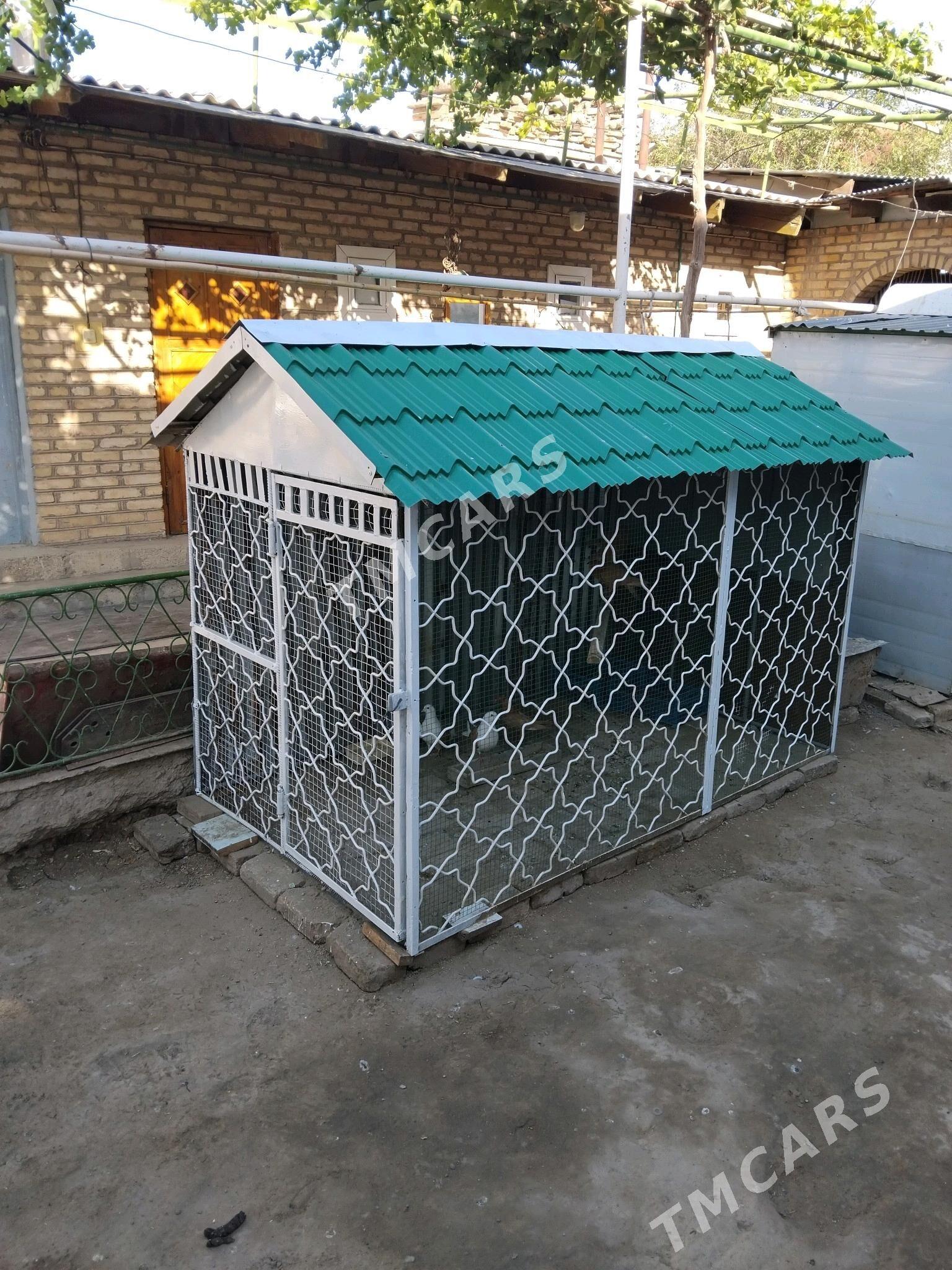 клетка - Türkmenabat - img 2