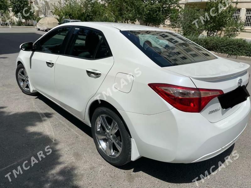 Toyota Corolla 2017 - 186 000 TMT - Кёпетдаг шаёлы - img 6