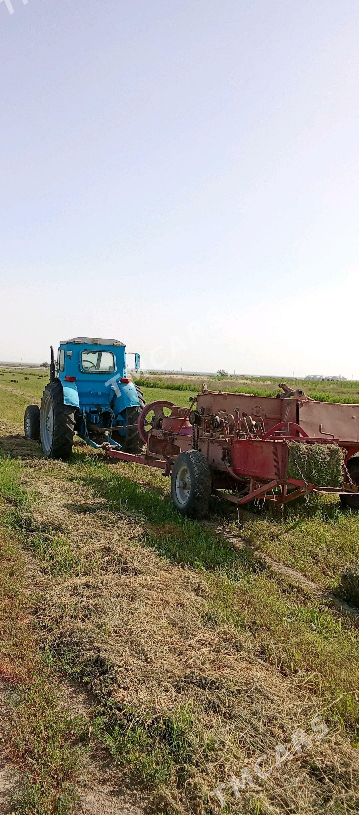 MTZ 80 2002 - 75 000 TMT - Bäherden - img 5