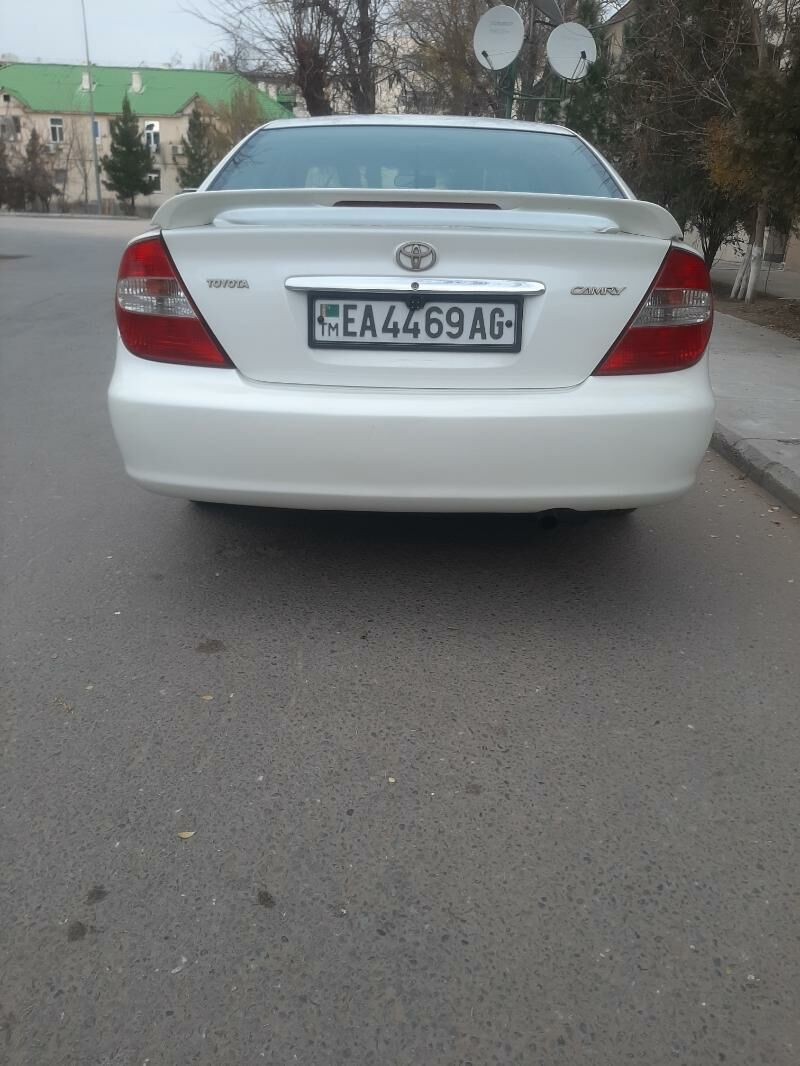 duty camryn yzyky farasi 350 TMT - Мир 2 - img 3