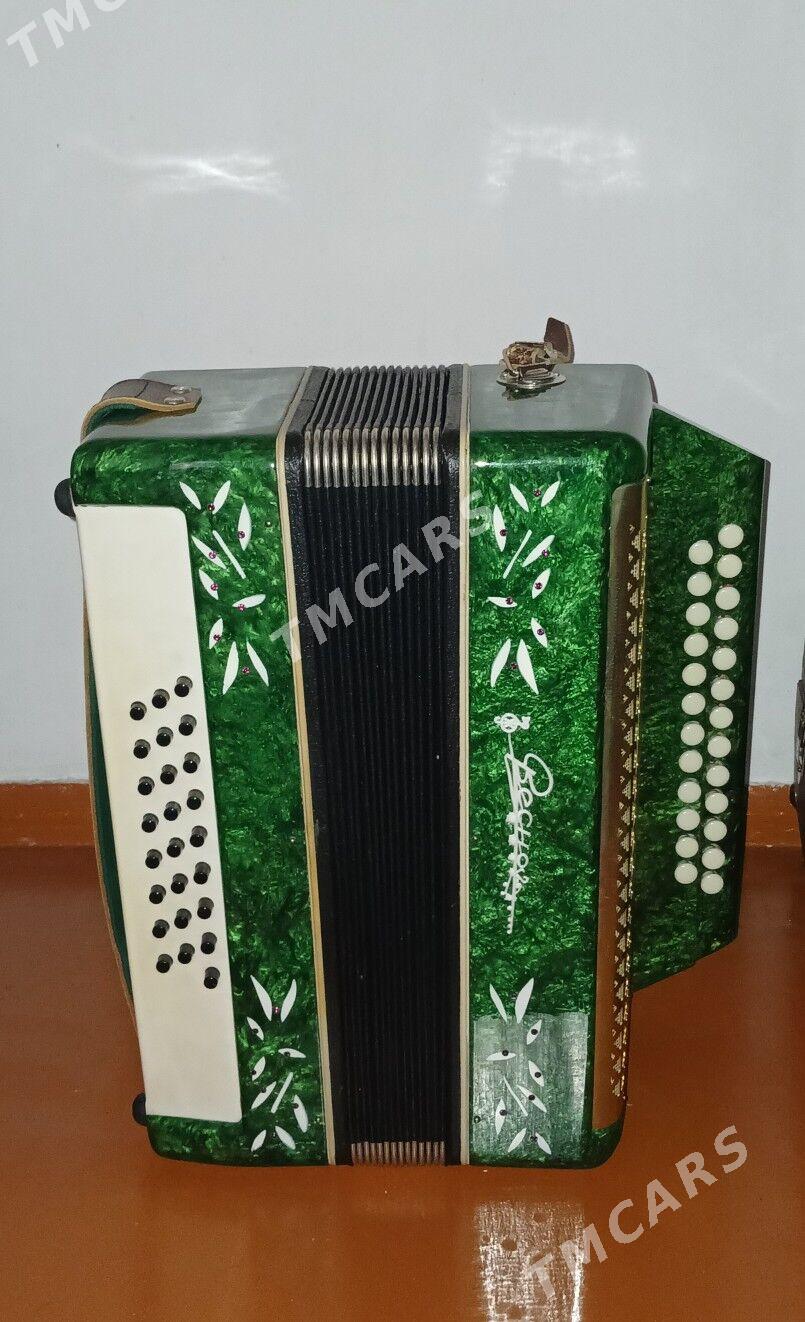 Гармонь и Гитара - 30 mkr - img 4