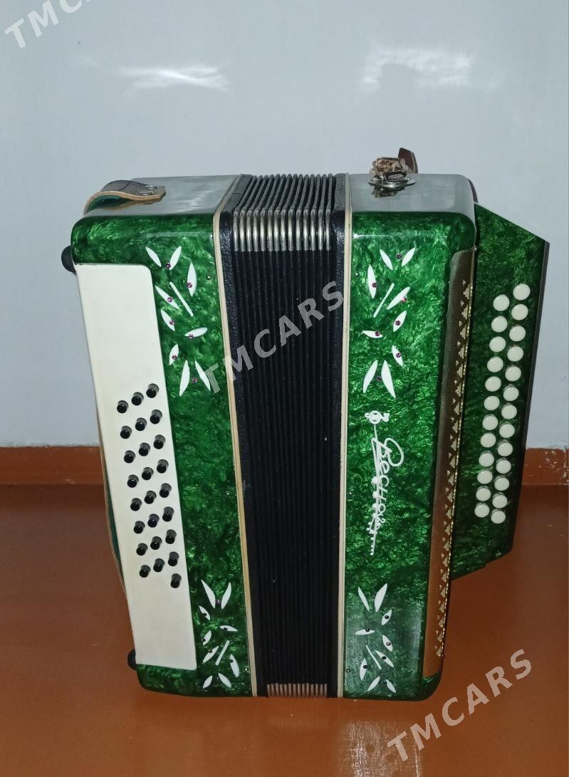 Гармонь и Гитара - 30 mkr - img 3