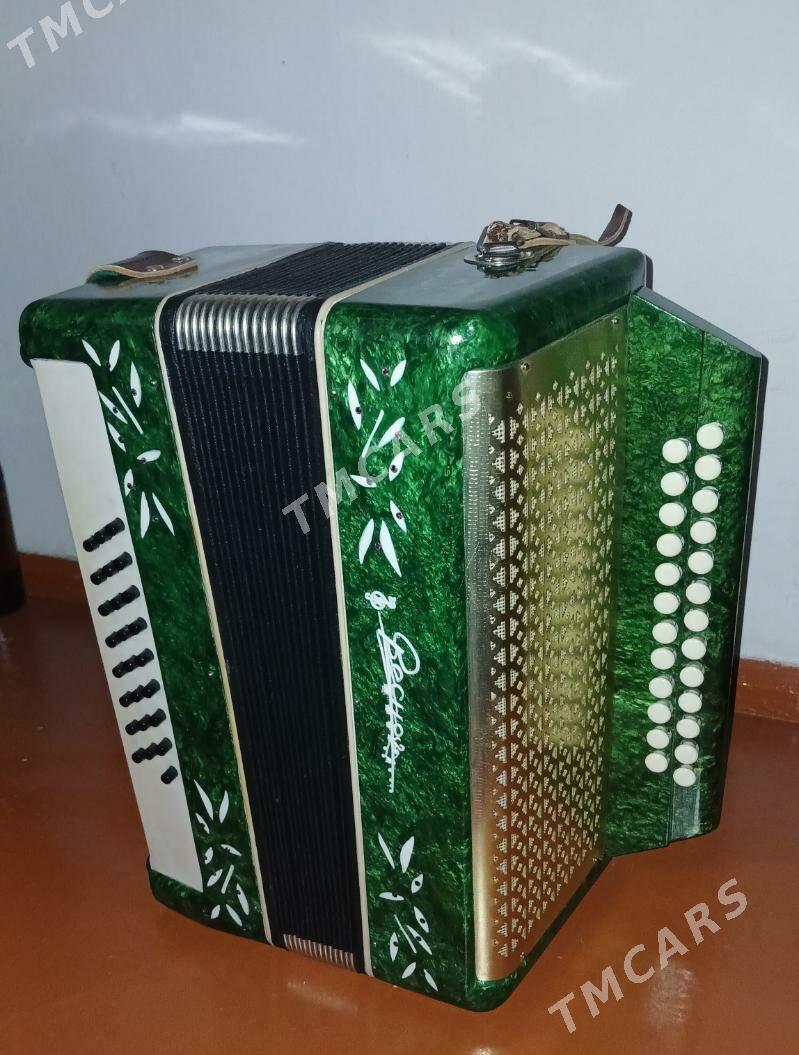 Гармонь и Гитара - 30 mkr - img 6