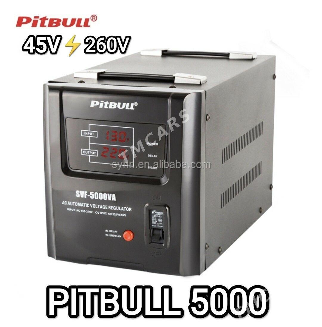 PITBUL TOK KOPELDYÄN ENJAMLAR - Гуртли - img 2