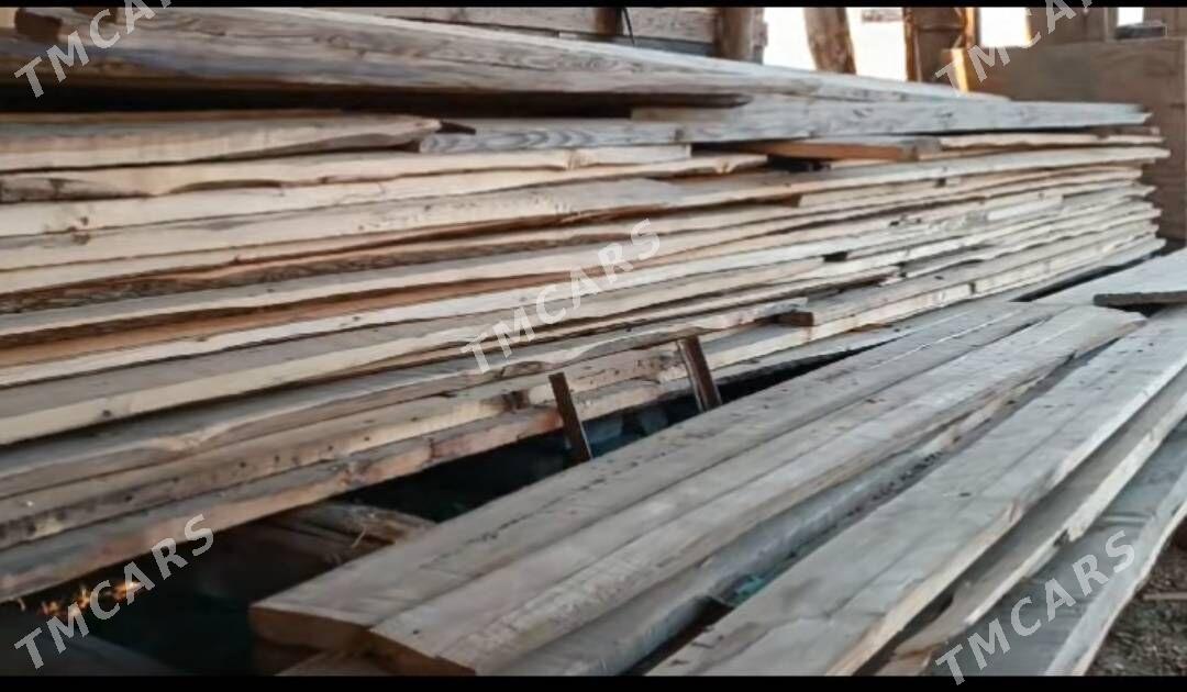 Tagta Polluklar - Halaç - img 2