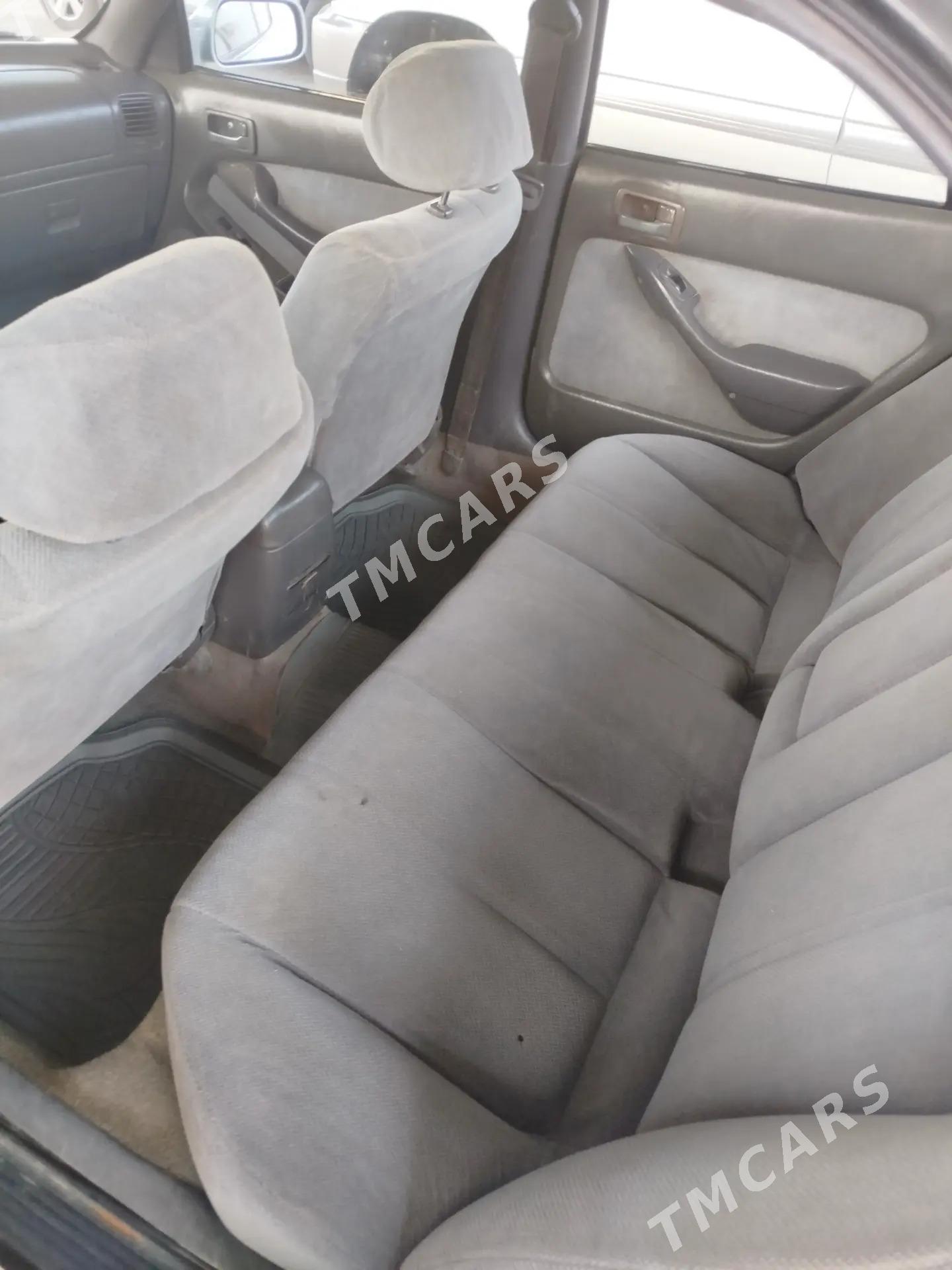 Toyota Camry 1996 - 87 000 TMT - Туркменабат - img 2