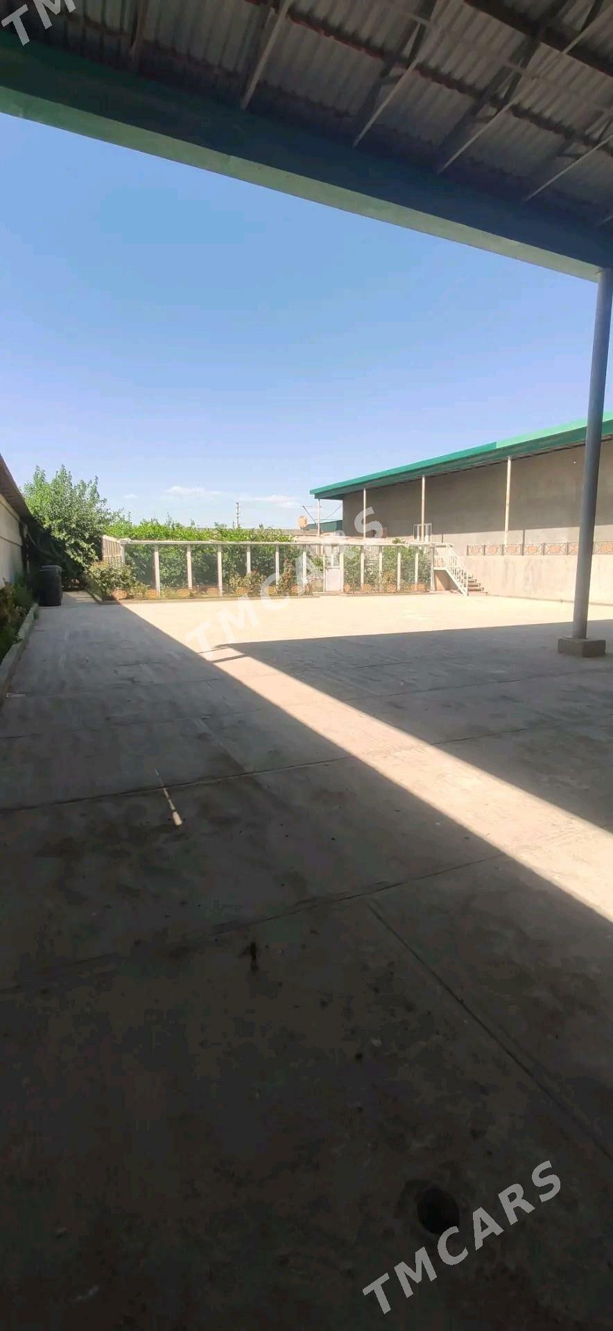 40 йыллык 16 соток жай - Türkmenabat - img 6