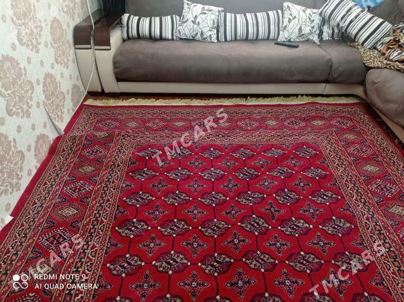 Haly 2,5x3, 5 - Aşgabat - img 3