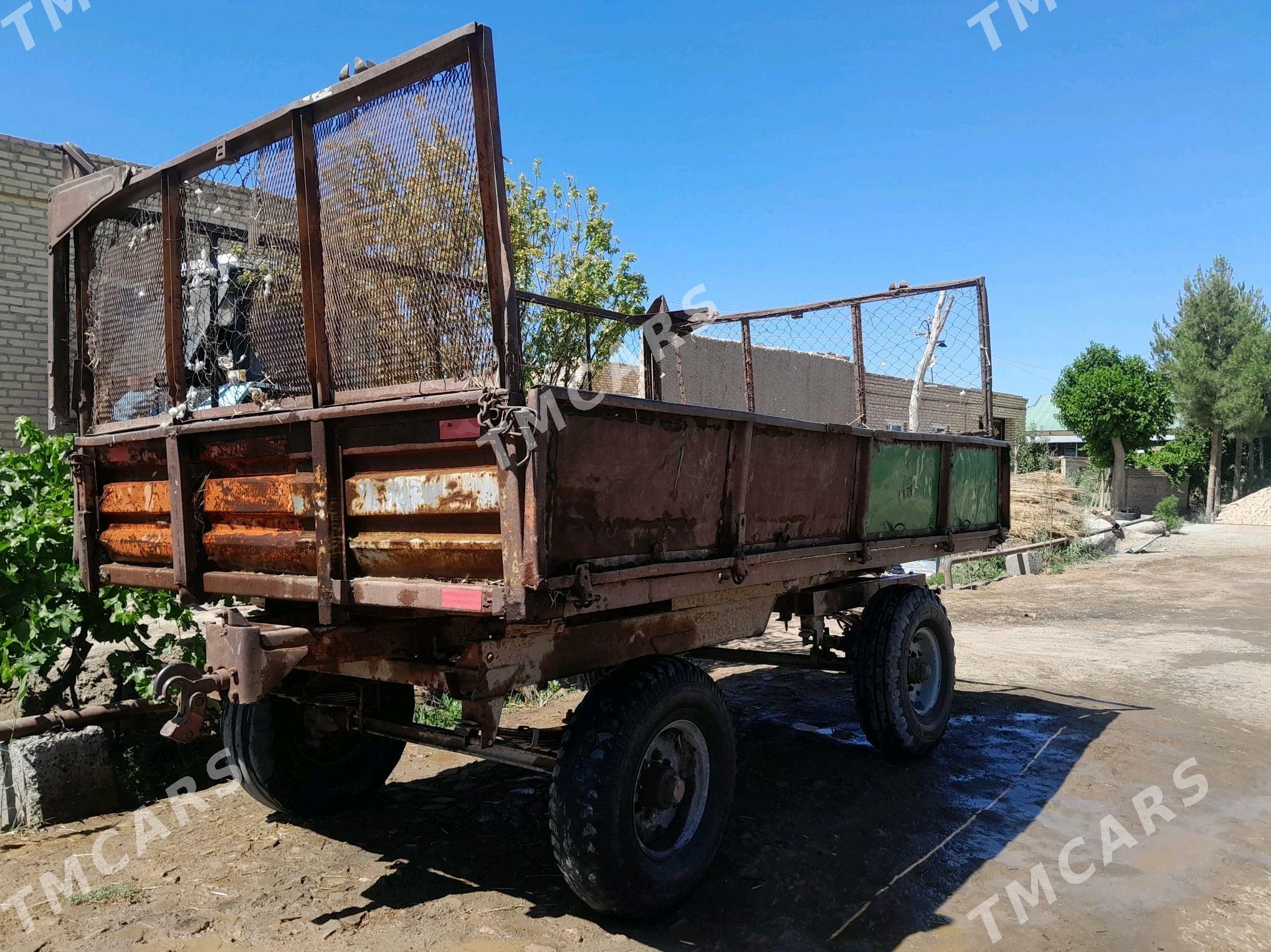 MTZ T-28 1980 - 10 000 TMT - Dänew - img 2