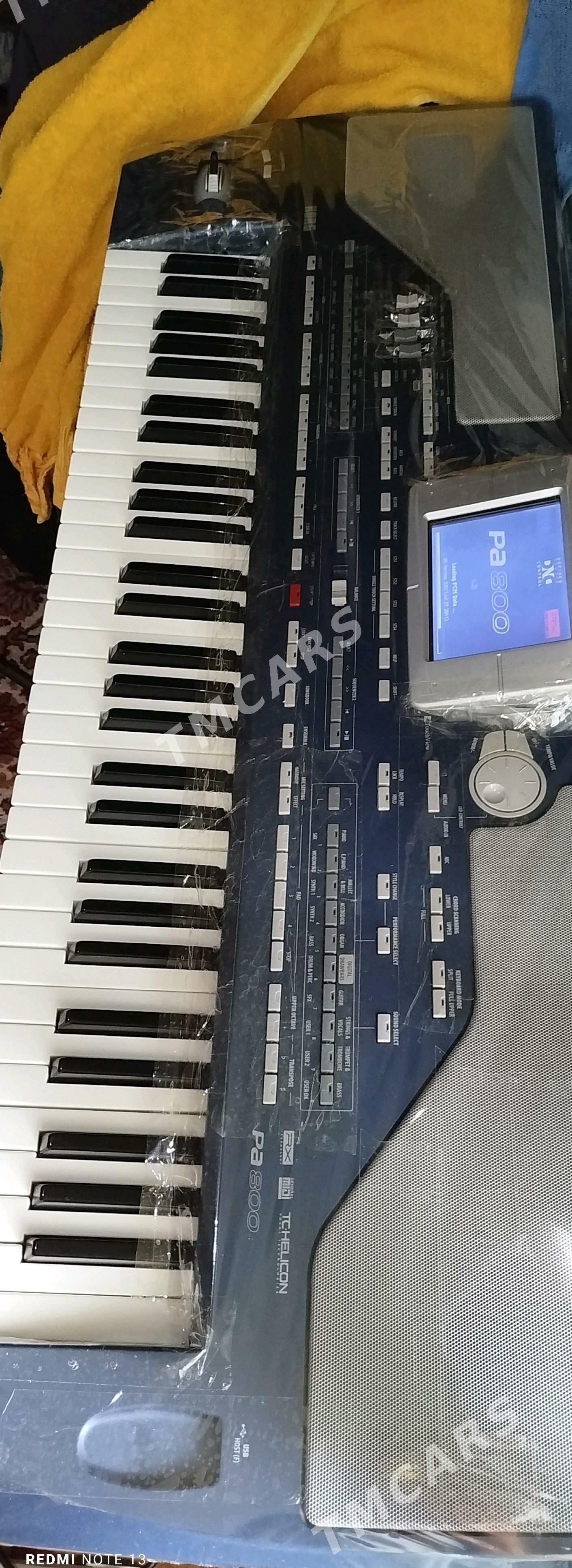 KORG Pa800 - Кака - img 2