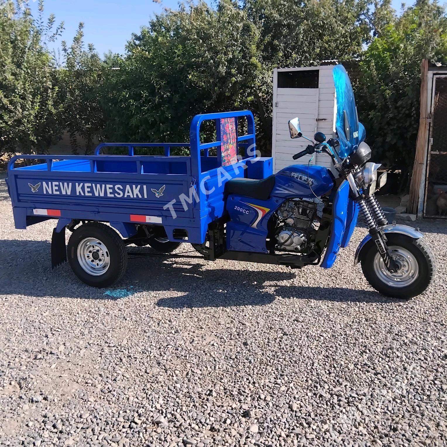 Fekon FK200-14G 2015 - 17 000 TMT - Sakarçäge - img 5