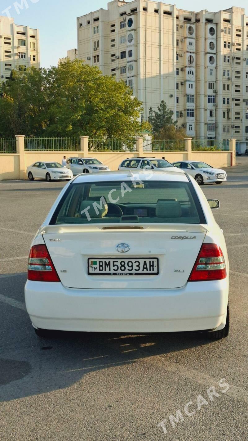 Toyota Corolla 2003 - 87 000 TMT - Ашхабад - img 7