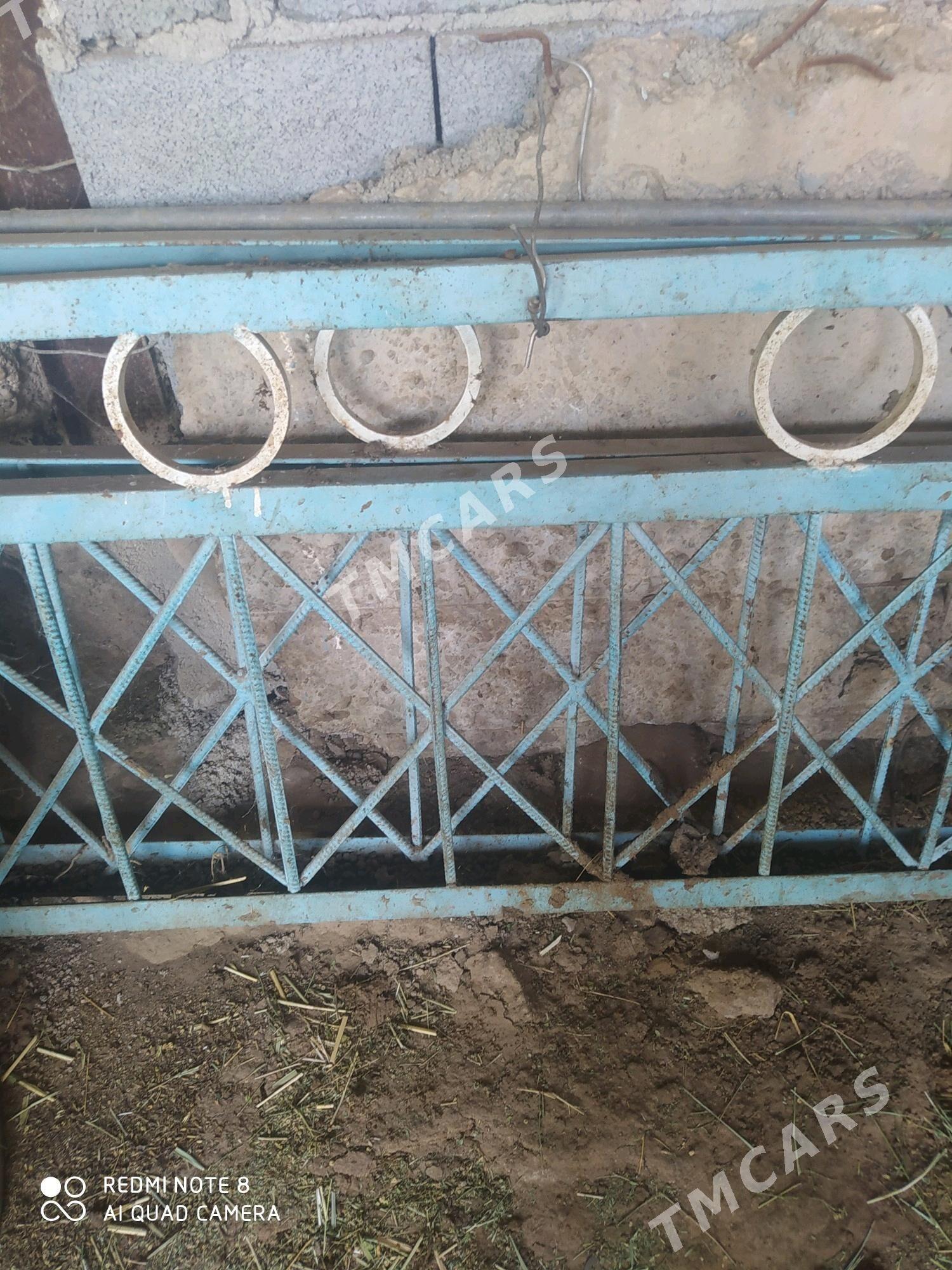 ugolnik roşotga - Ýaşlyk - img 3
