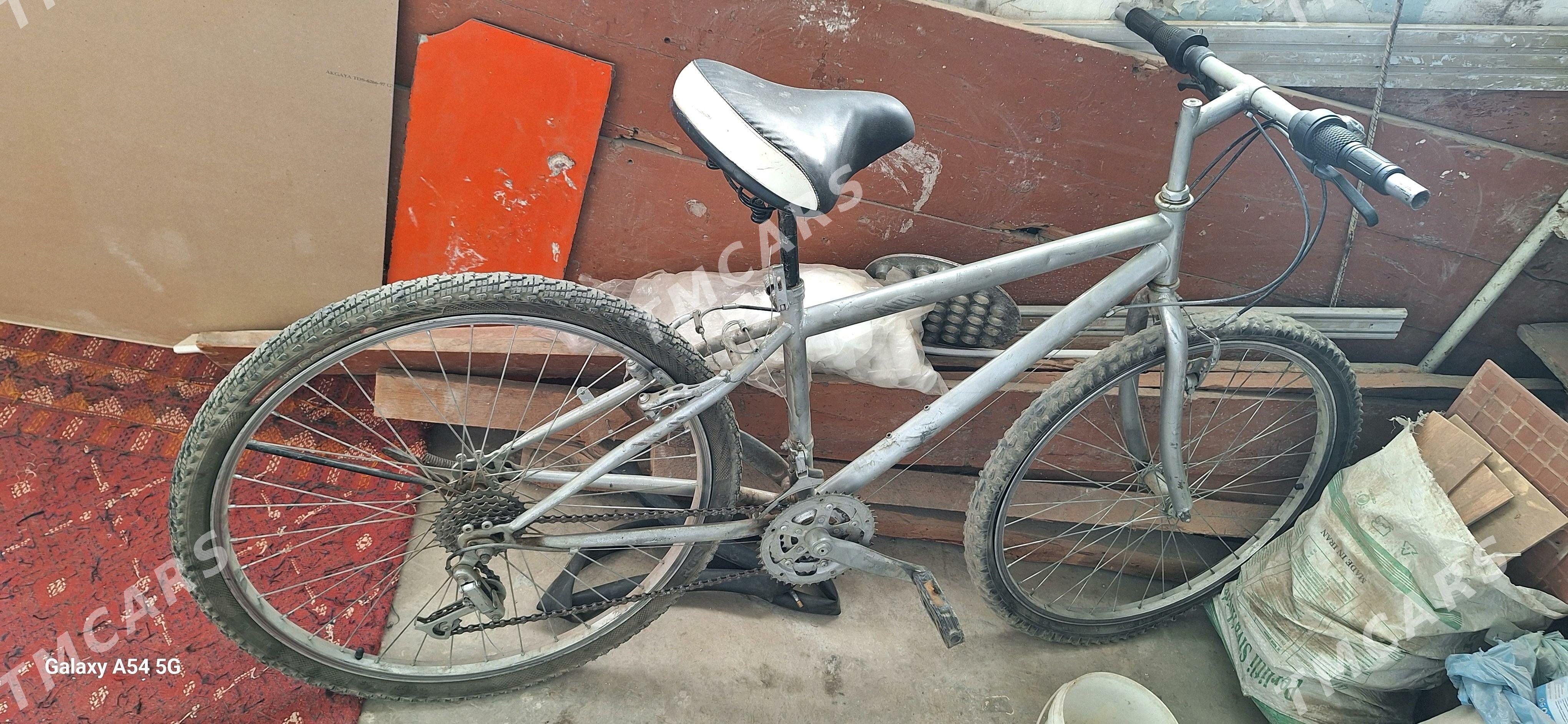 welik yapoşka - Daşoguz - img 2