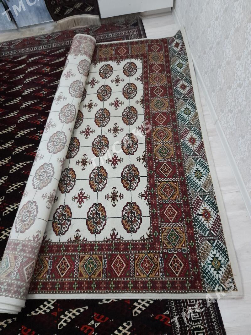 haly - Türkmenbaşy - img 2