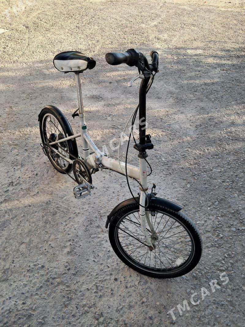Tigir yapon - Ruhabat (90-njy razýezd) - img 2
