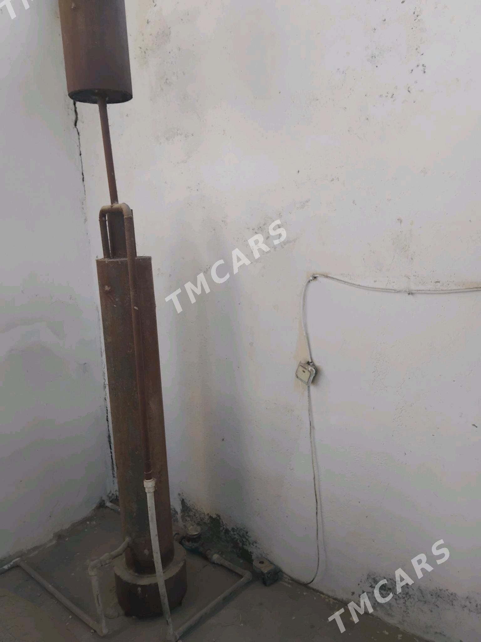 Atapilenya pec suw - Ak bugdaý etraby - img 2
