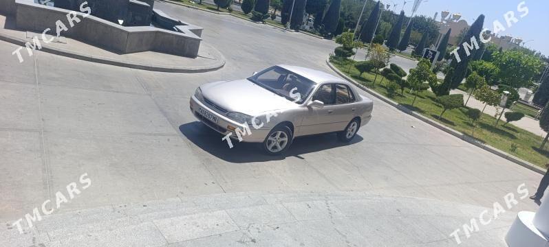 Toyota Camry 1996 - 99 000 TMT - Mary - img 6