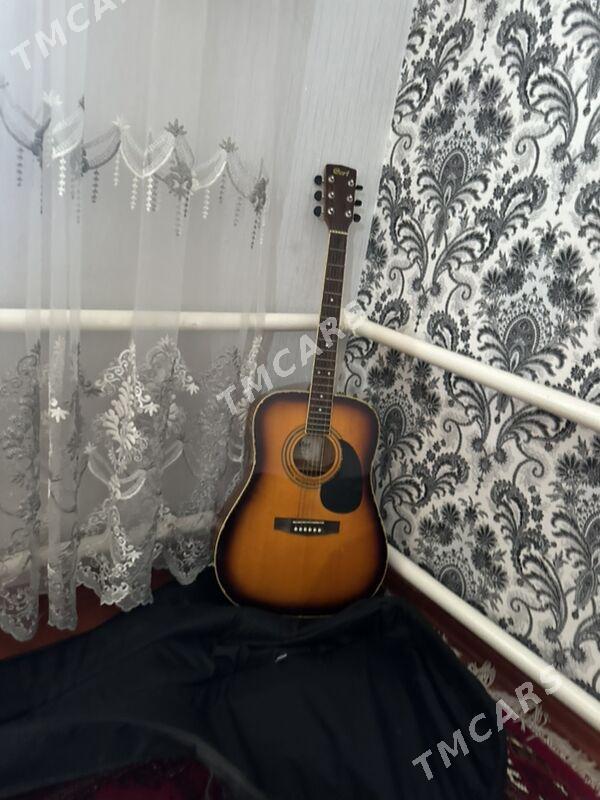 Fleyta, gitara - Türkmenabat - img 3