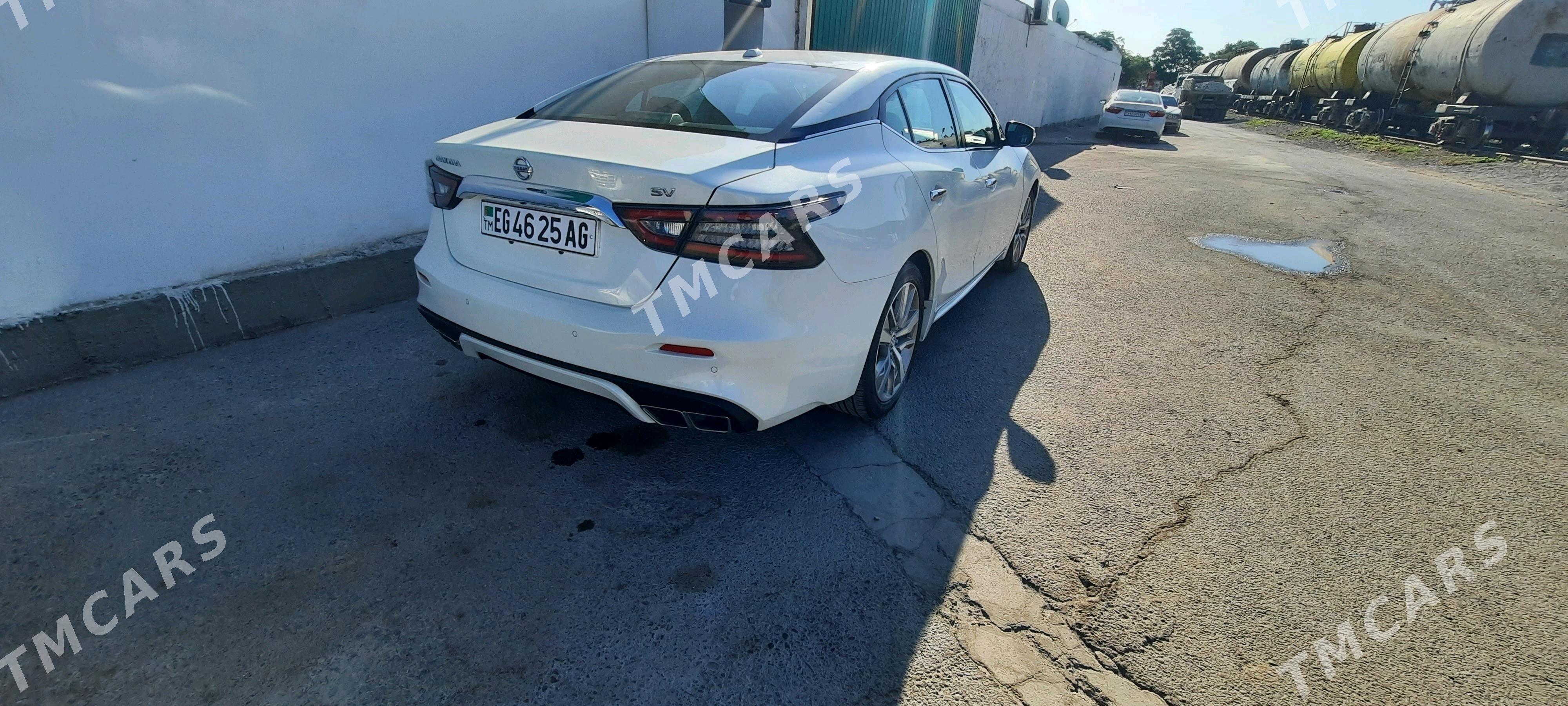 Nissan Maxima 2021 - 260 000 TMT - Aşgabat - img 6