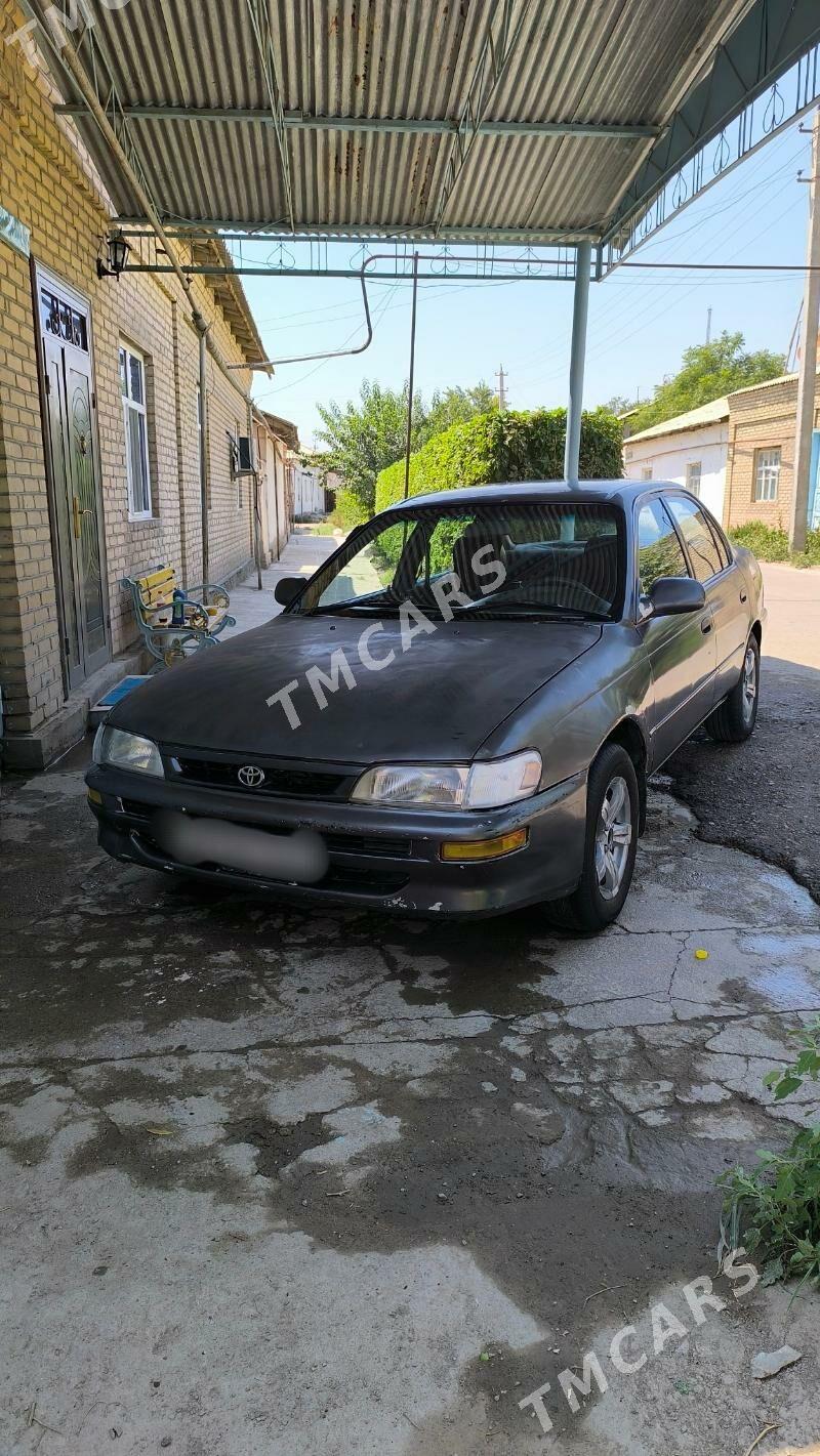 Toyota Corolla 1996 - 50 000 TMT - Boldumsaz - img 1