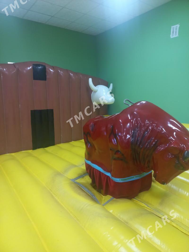 Öküz batut rodeo/Бык родео - Туркменабат - img 2