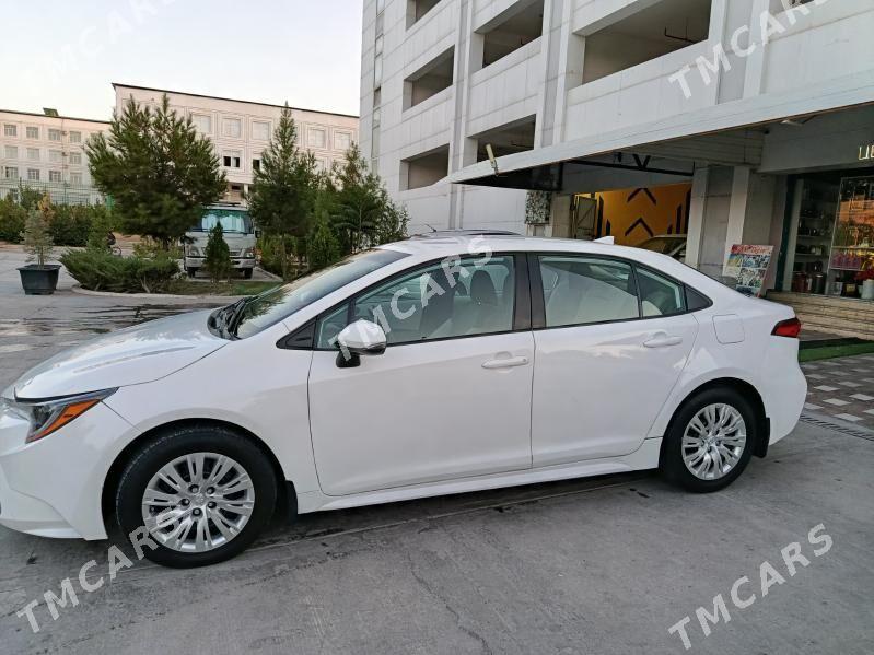 Toyota Corolla 2020 - 175 000 TMT - Ялкым - img 6