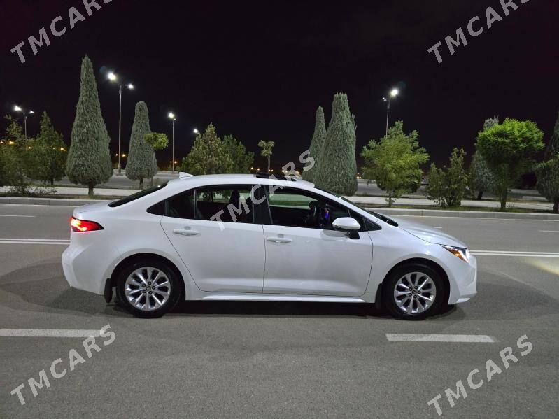 Toyota Corolla 2022 - 239 000 TMT - Ашхабад - img 3