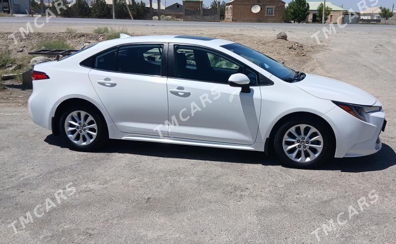 Toyota Corolla 2020 - 268 000 TMT - Ашхабад - img 2