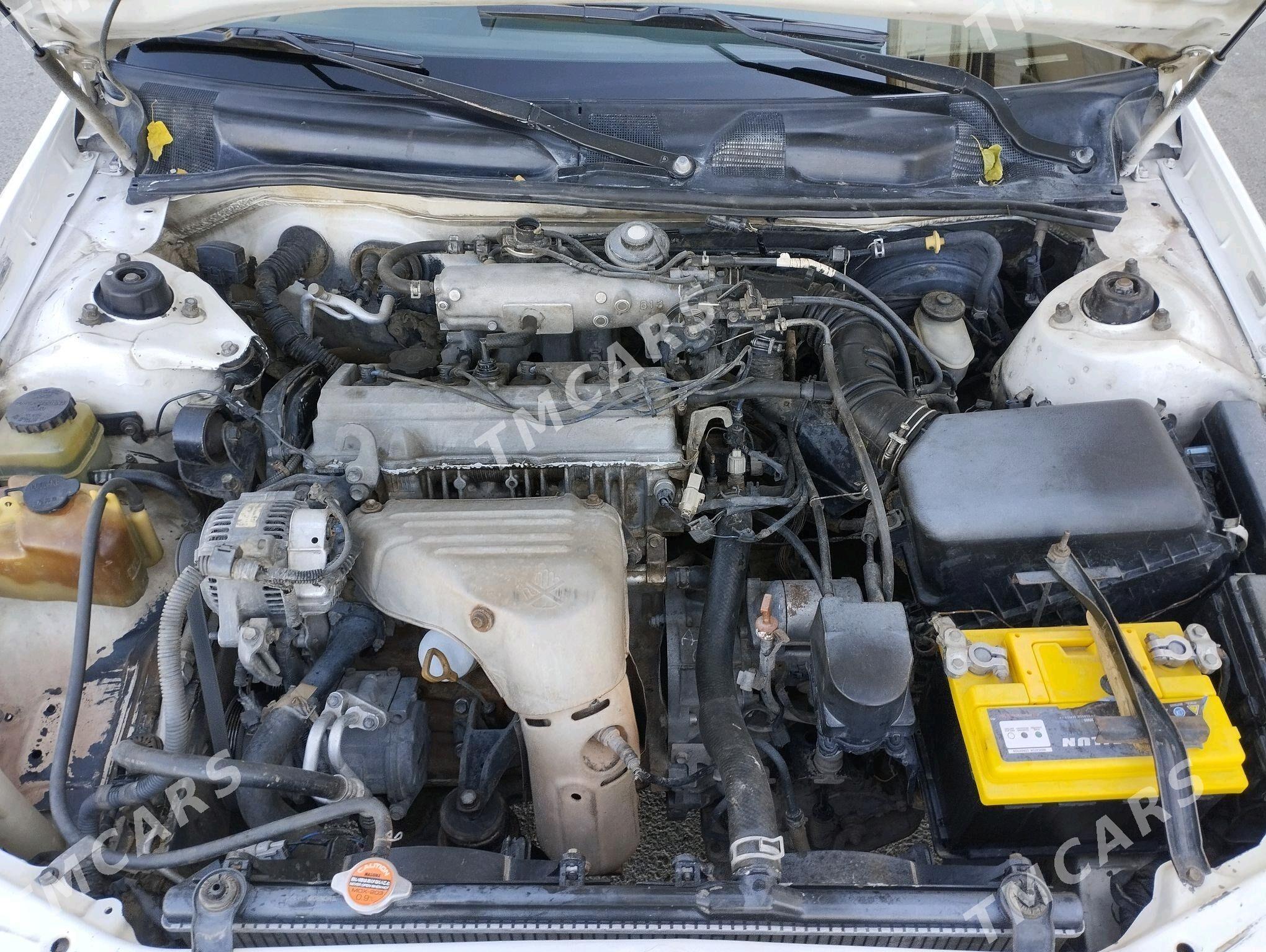 Toyota Camry 2000 - 125 000 TMT - Ашхабад - img 7