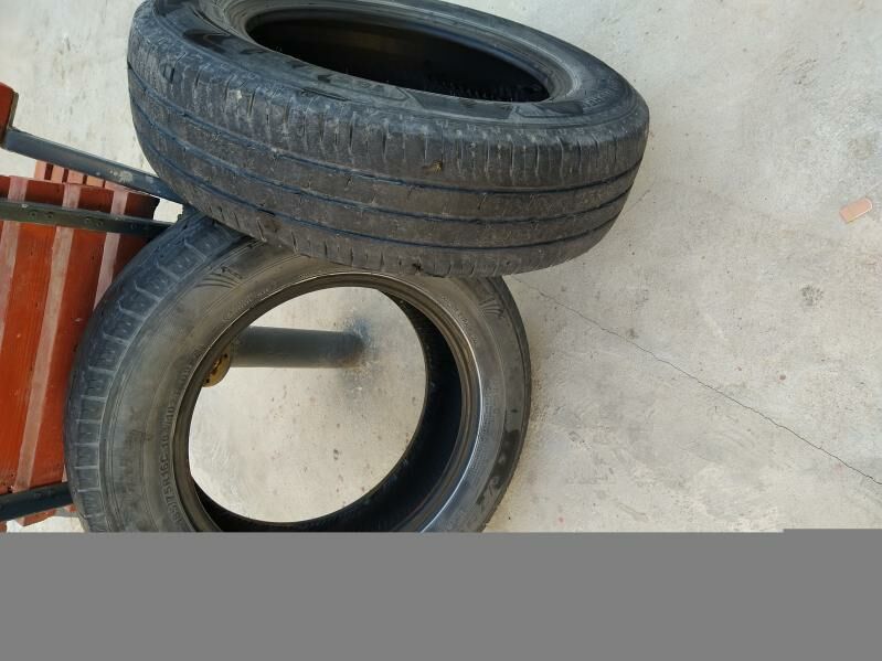gazel 250 TMT - Çoganly - img 3