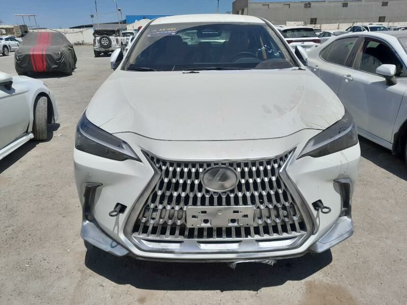 Lexus NX 350 2025 - 930 000 TMT - Mary - img 9