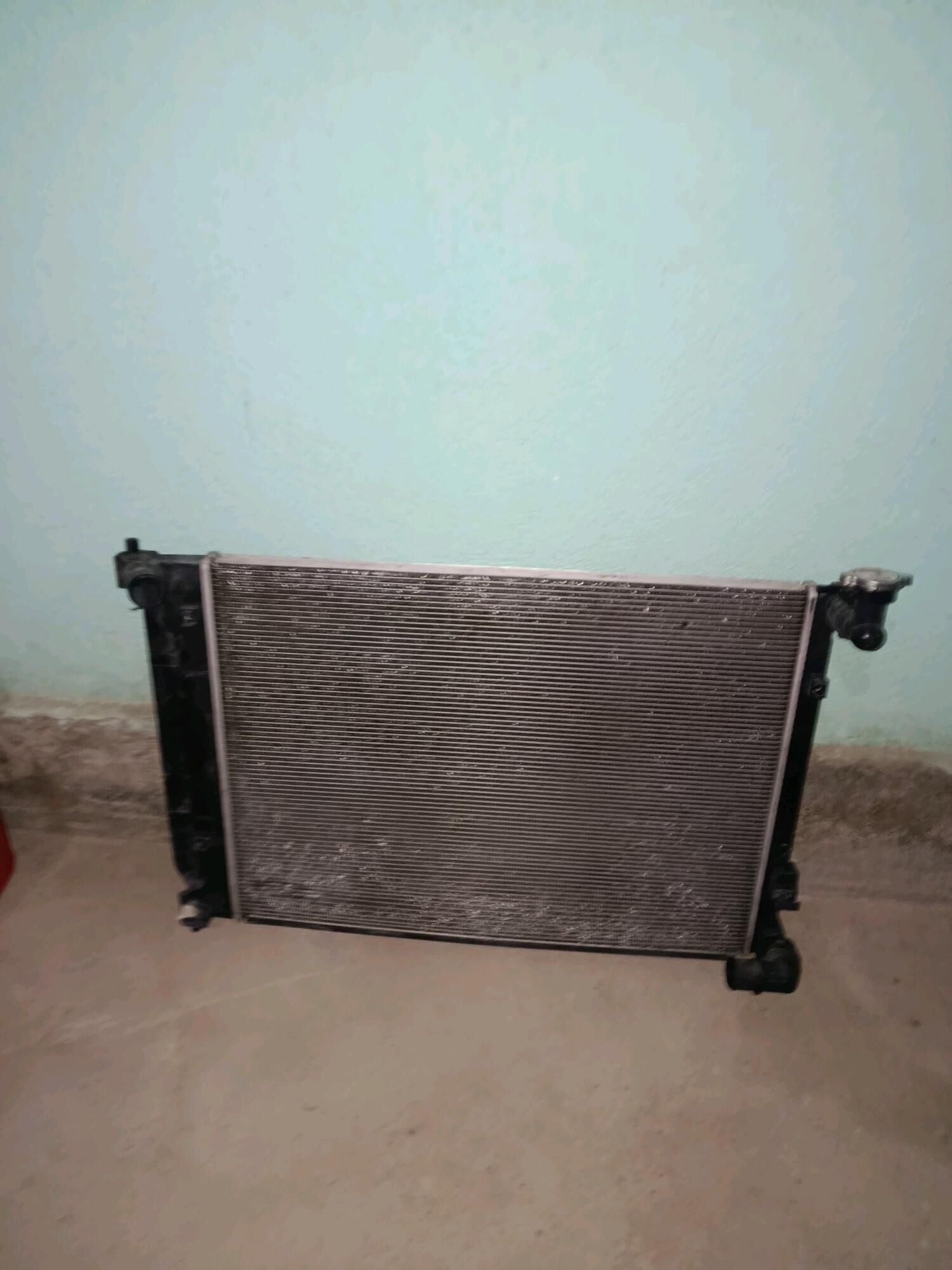 Radyatr 1 000 TMT - Bagyr - img 2
