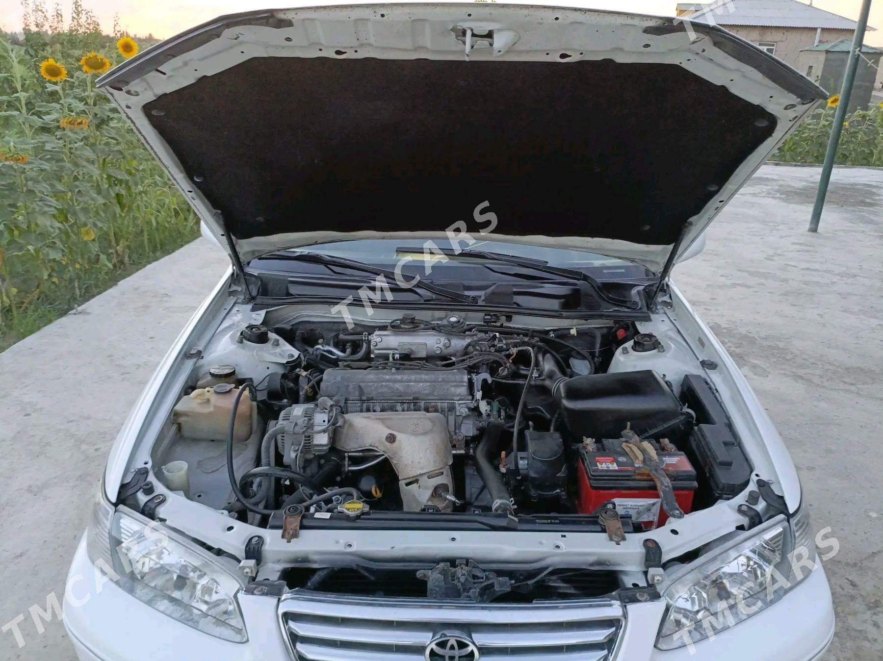 Toyota Camry 2000 - 146 000 TMT - Губадаг - img 5